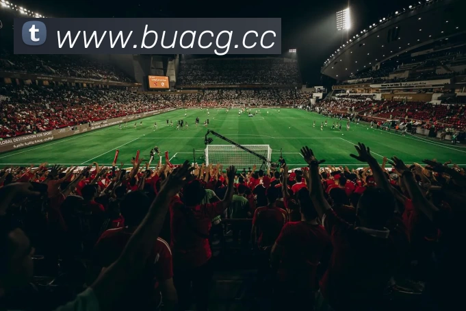 App Interface Preview